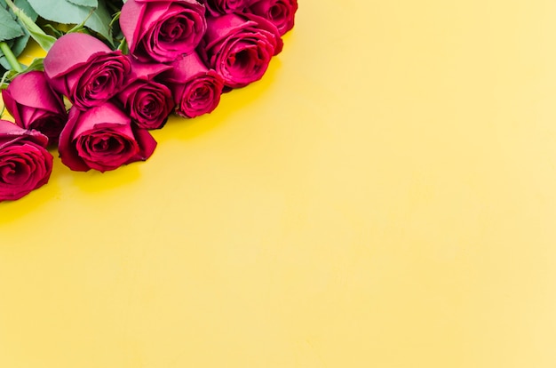 Foto gratuita fiori di rose rosse