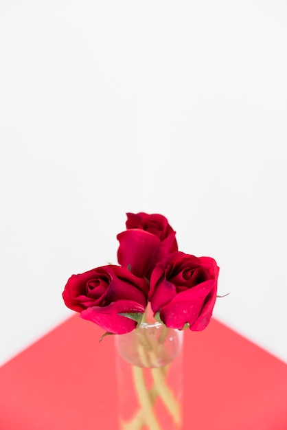 Red roses in glass vase on light table