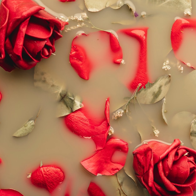 Red roses and petals in brown colored water close-up