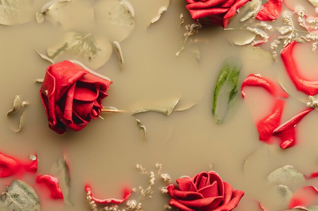 Red roses and petals in brown water