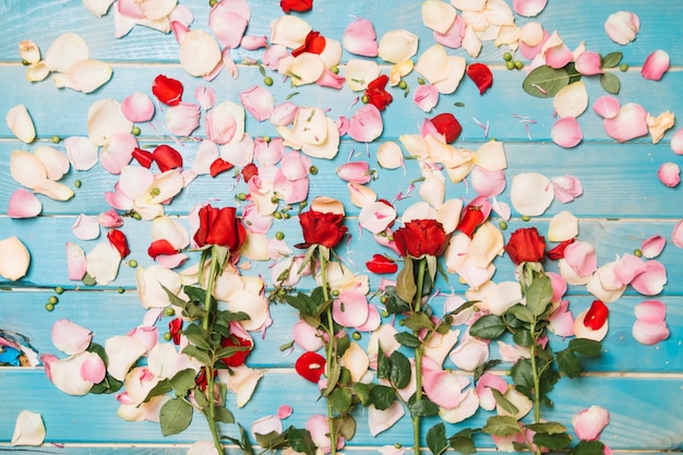 Red roses on rose petal