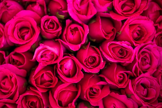 Foto gratuita rose rosse con texture di sfondo