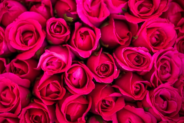 Красные розы текстурированный фон