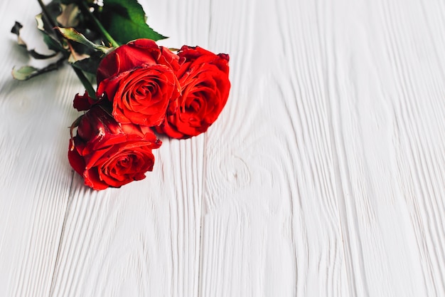 Red roses on white background