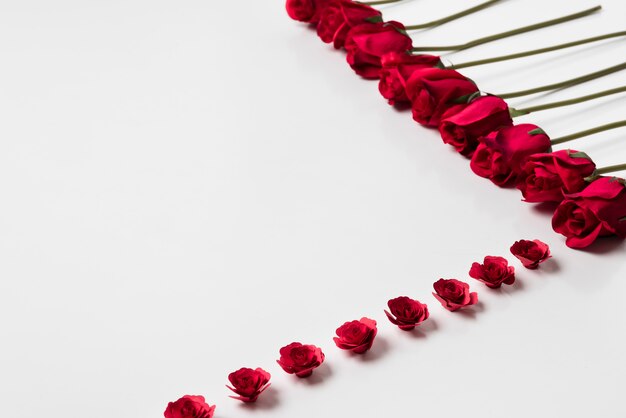 Red roses on white table