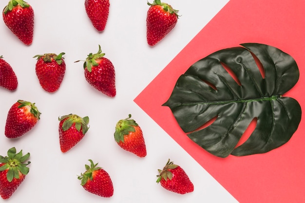 Red strawberries and big leaf on pink and white multicolored background
