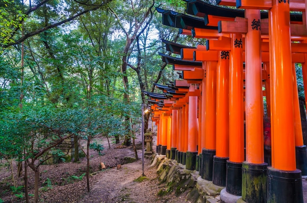 Foto gratuita red tori gate a fushimi inari tempio a kyoto, giappone