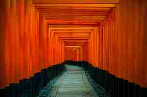 Foto gratuita il rosso torii gates marciapiede al santuario di fushimi inari taisha a kyoto, in giappone.