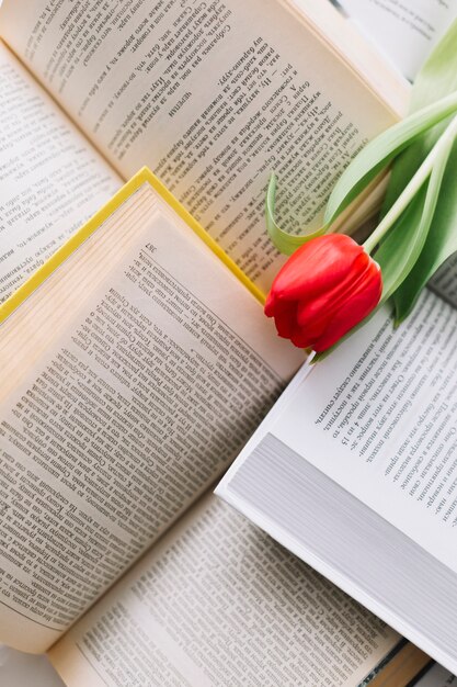 Red tulip on books