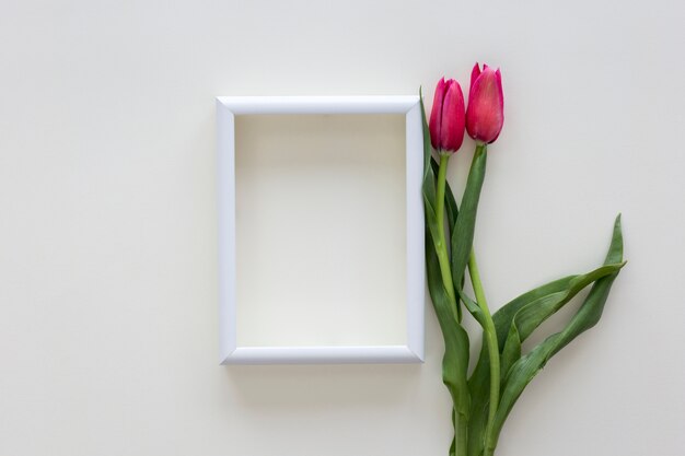 Red tulip flowers and white border photo frame on white desk