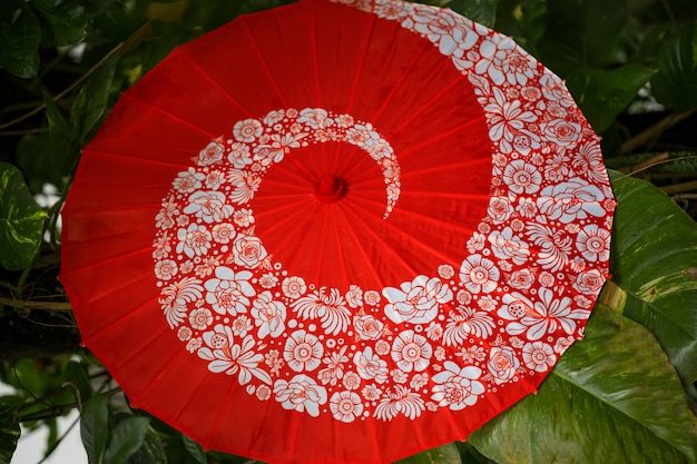 Foto gratuita ombrello wagasa rosso con foglie verdi