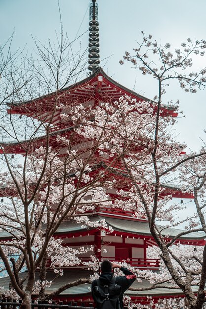 赤と白の日本のお寺