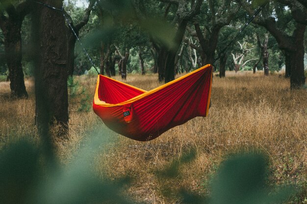 Red and yellow hammock hanging between tall trees