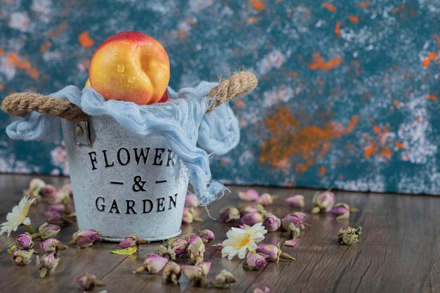 Red yellow peaches on rustic metallic blue bucket.