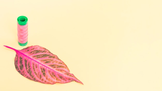 Reel of pink yarn with a leaf