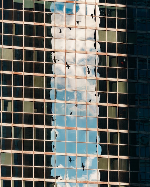 Free photo reflection of the birds in the sky in a glass skyscraper