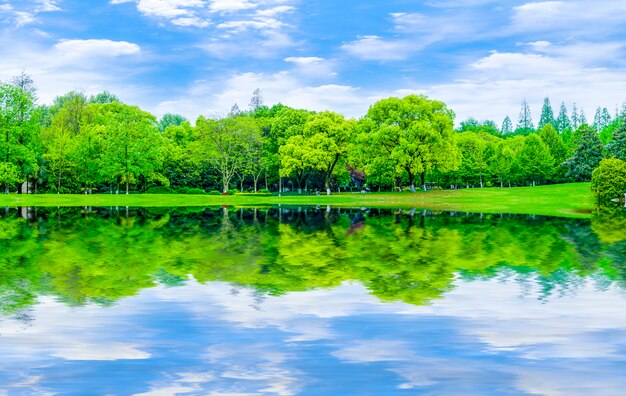 reflection garden landscape lawn abstract background blue sky and white clouds