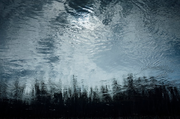 Reflection of  trees in pond