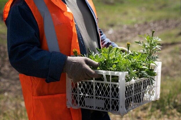 Reforestation done by voluntary group