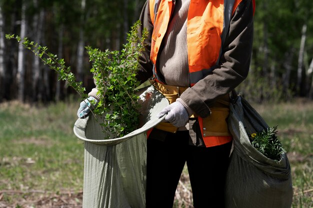 Reforestation done by voluntary group