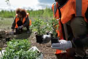 Free photo reforestation done by voluntary group