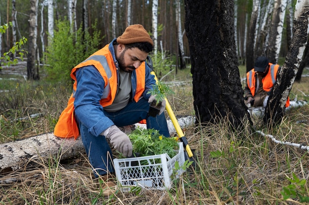 Free photo reforestation done by voluntary group