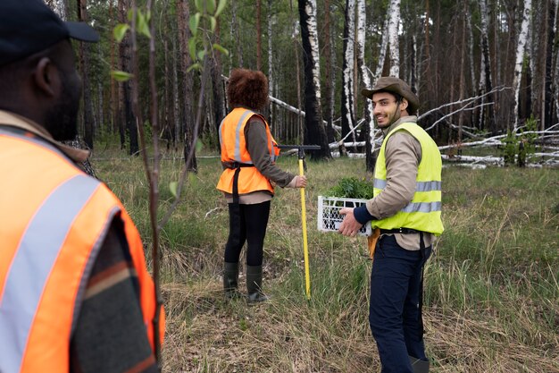 Reforestation done by voluntary group