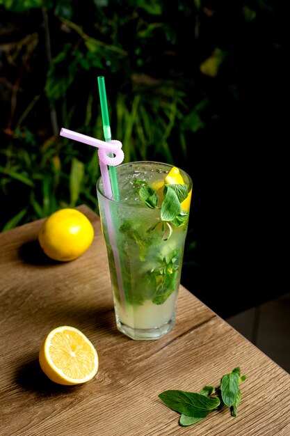 Refreshing lemonade with lemon and mint
