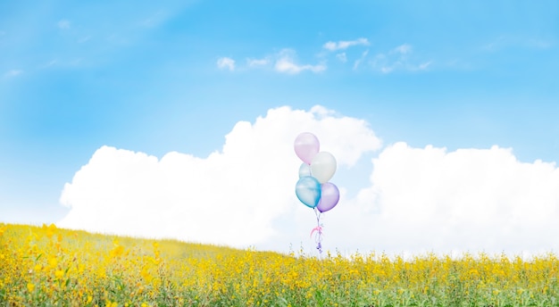 Free Photo relaxation background idea concept.