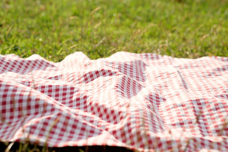 Free Photo relaxation weekend outdoor.