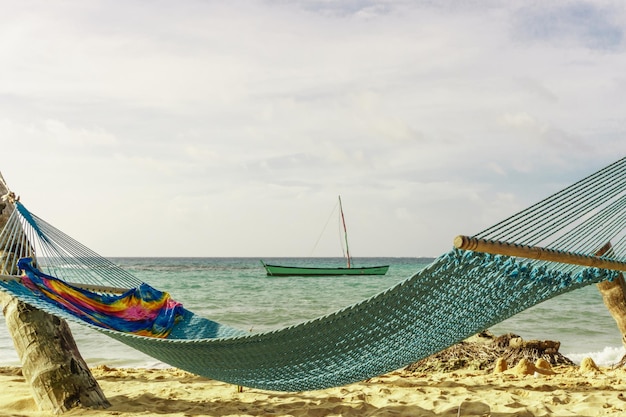 Расслабляющая концепция, красивый тропический пляж с гамаком на пальмах Premium Фотографии