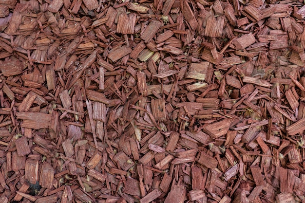 Free photo relief texture of the brown bark of a tree close up