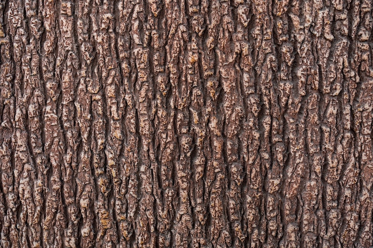 Free Photo relief texture of the brown bark of a tree close up