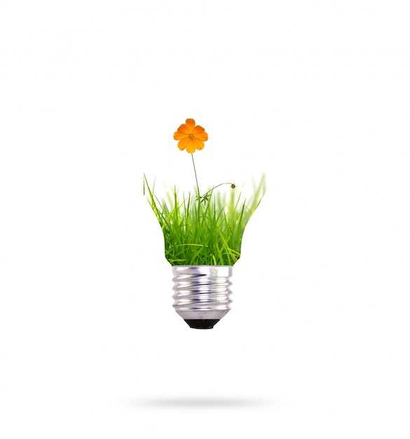 Renewable energy with an orange flower