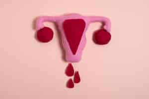 Free photo reproductive system and blood drops