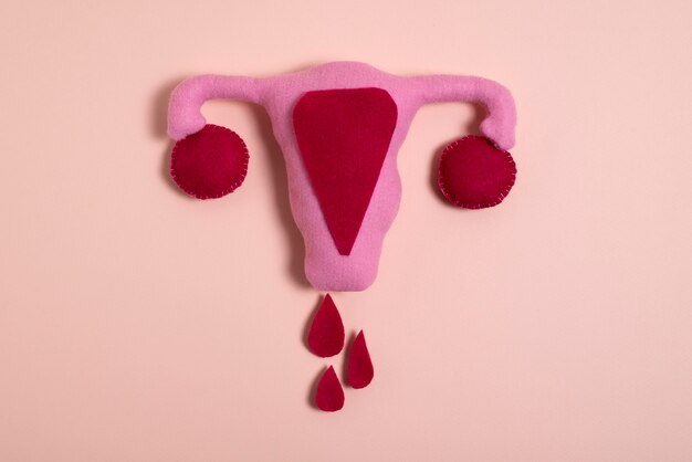 Reproductive system and blood drops