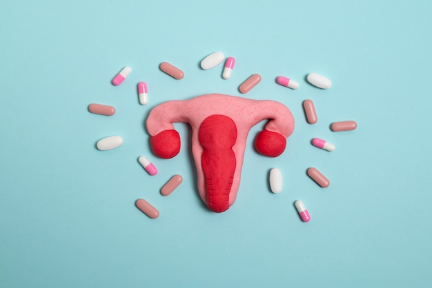 Free photo reproductive system and pills above view