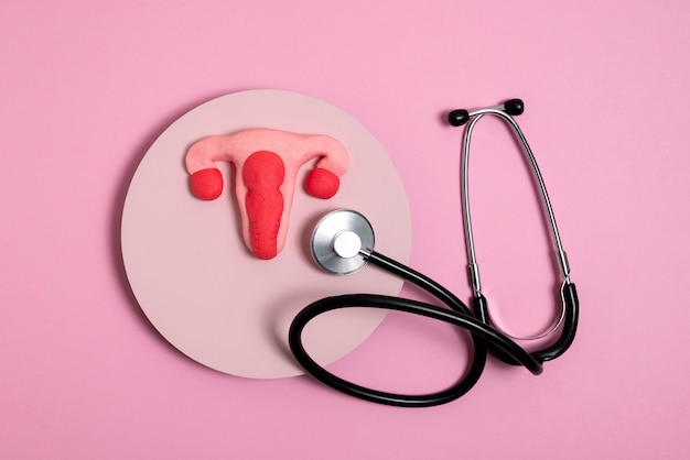 Reproductive system and stethoscope flat lay