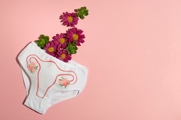 Free photo reproductive system on white underwear flat lay