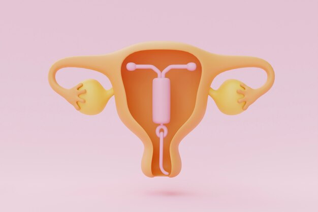 ピンクの背景を持つ生殖器系