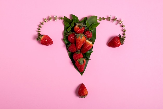 Free photo reproductive system with strawberries flat lay