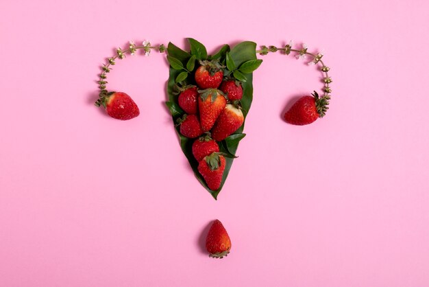 Reproductive system with strawberries flat lay