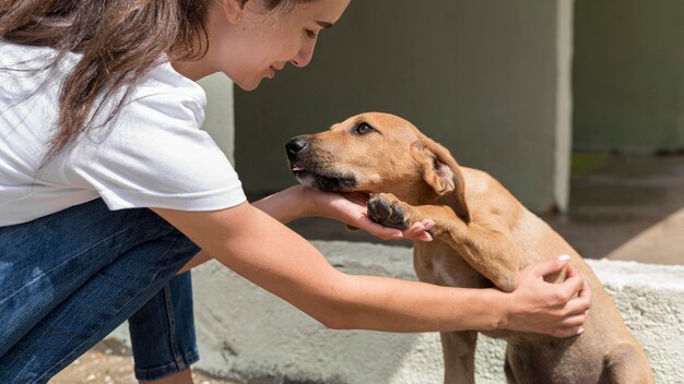 避難所で女性によってペットであることを楽しんでいる救助犬