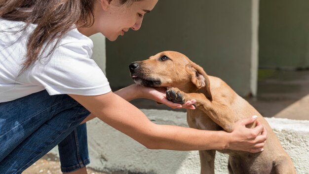 Собака-спасатель наслаждается домашним животным женщиной в приюте