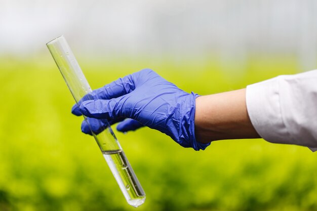 Researcher holds a test tube with water in a hand in blue glove