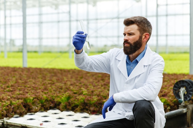 Researcher takes water in a test tube sitting in a greenhouse