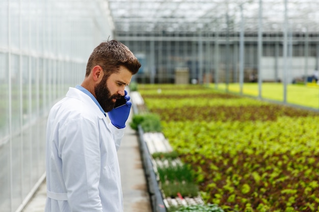 Researcher talks on the phone walking around a greenhouse