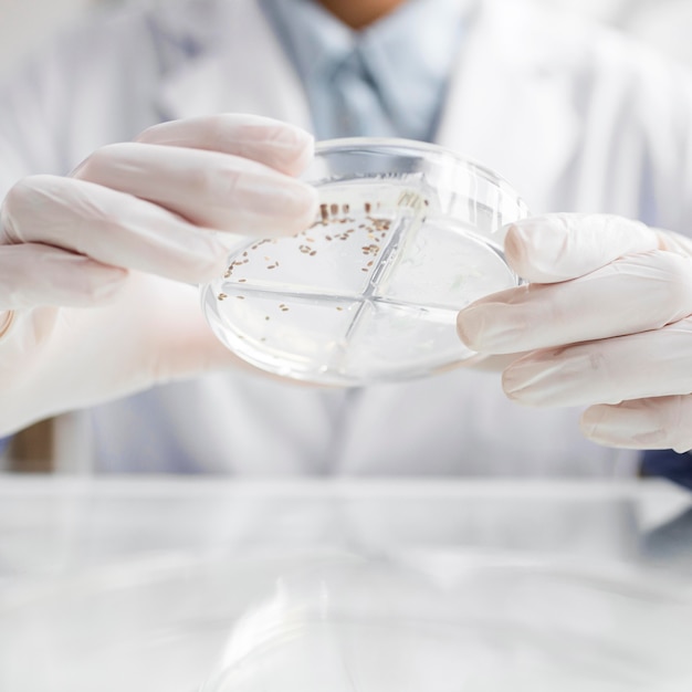 Researcher with petri dish in the biotechnology laboratory