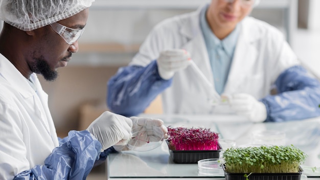 Foto gratuita ricercatori nel laboratorio di biotecnologia con piante