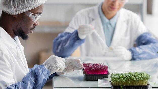 Researchers in the biotechnology laboratory with plants